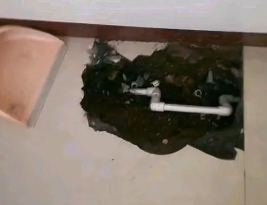 呼伦贝尔卫生间测漏水多少钱